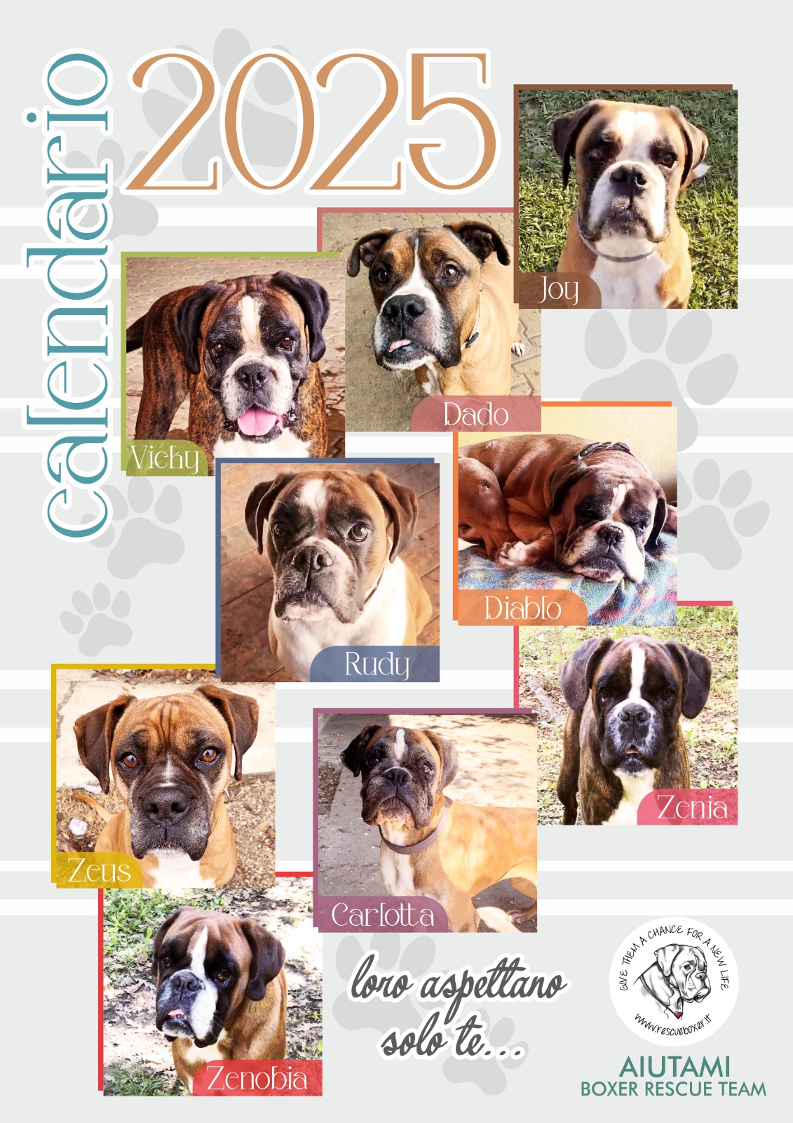 📅✨ ANTEPRIMA CALENDARIO BENEFICO 2025 – AIUTAMI BOXER RESCUE 🐾