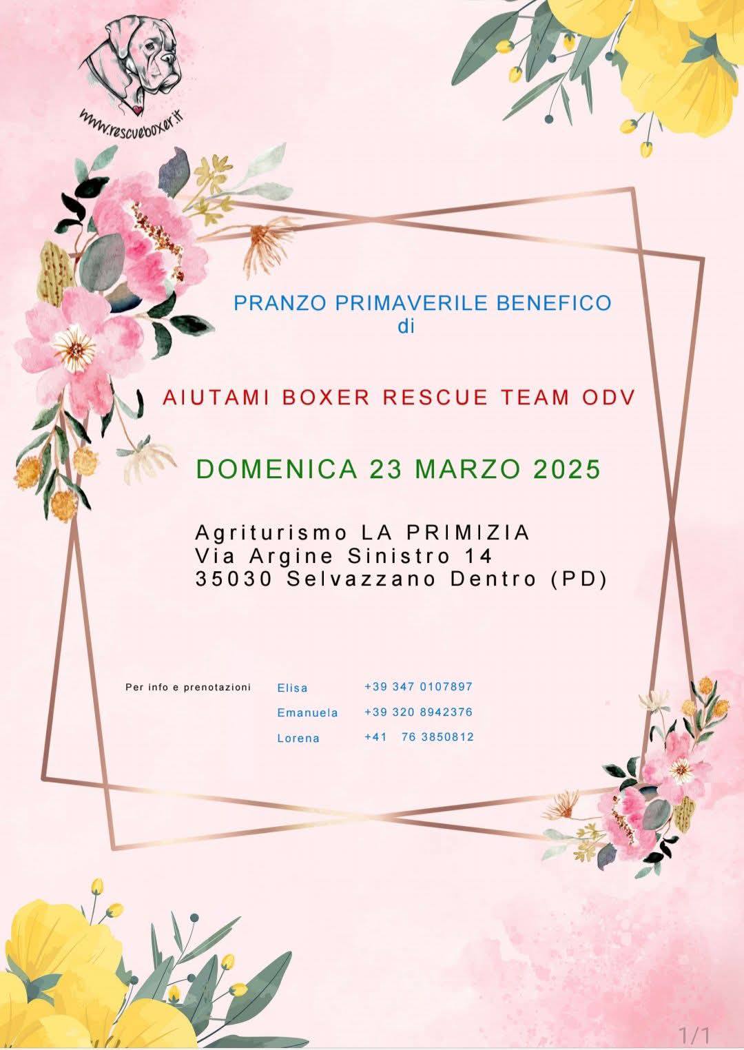 🌸PRANZO PRIMAVERILE BENEFICO DOMENICA 23 MARZO 2025🌸